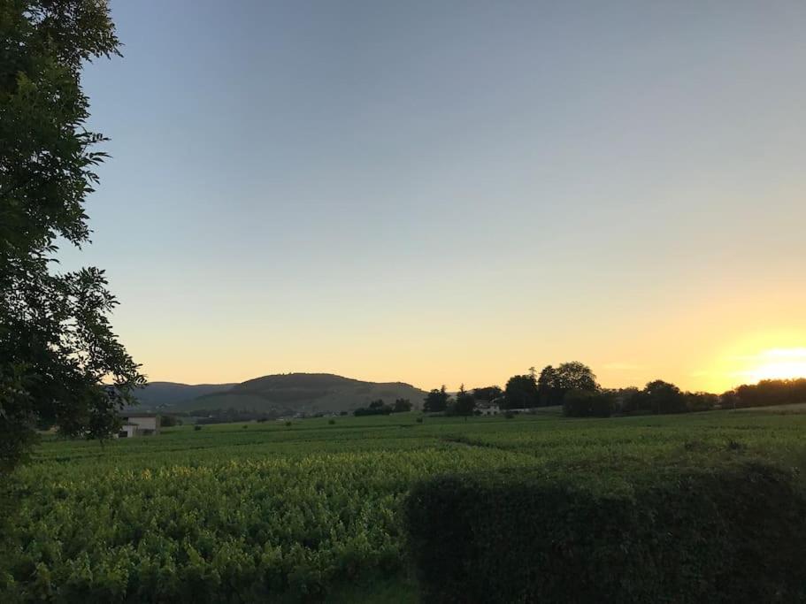 Gite Des Pilliers Belleville-sur-Saône Extérieur photo